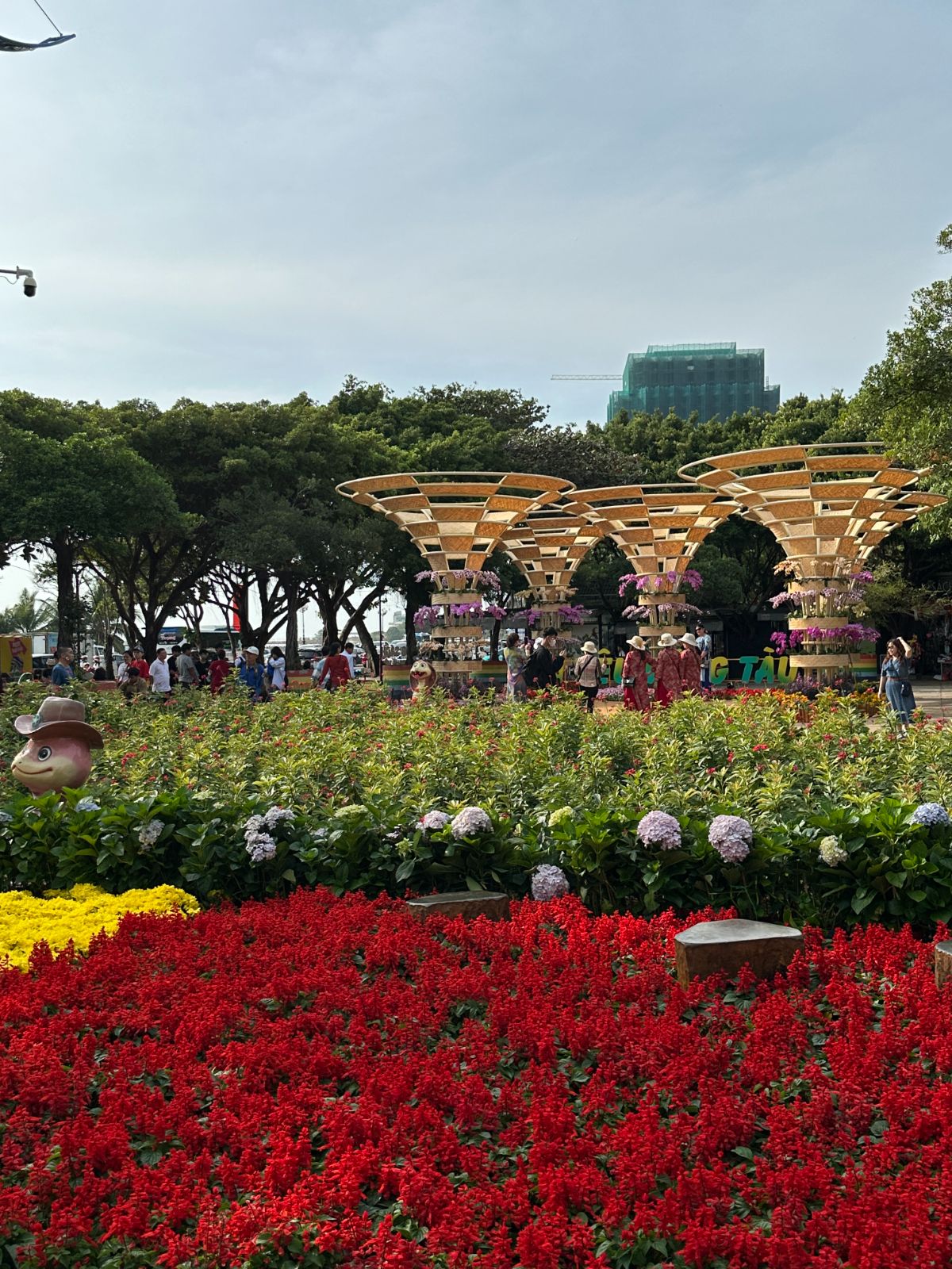 Vùng Tàu 2025 — ảnh 5