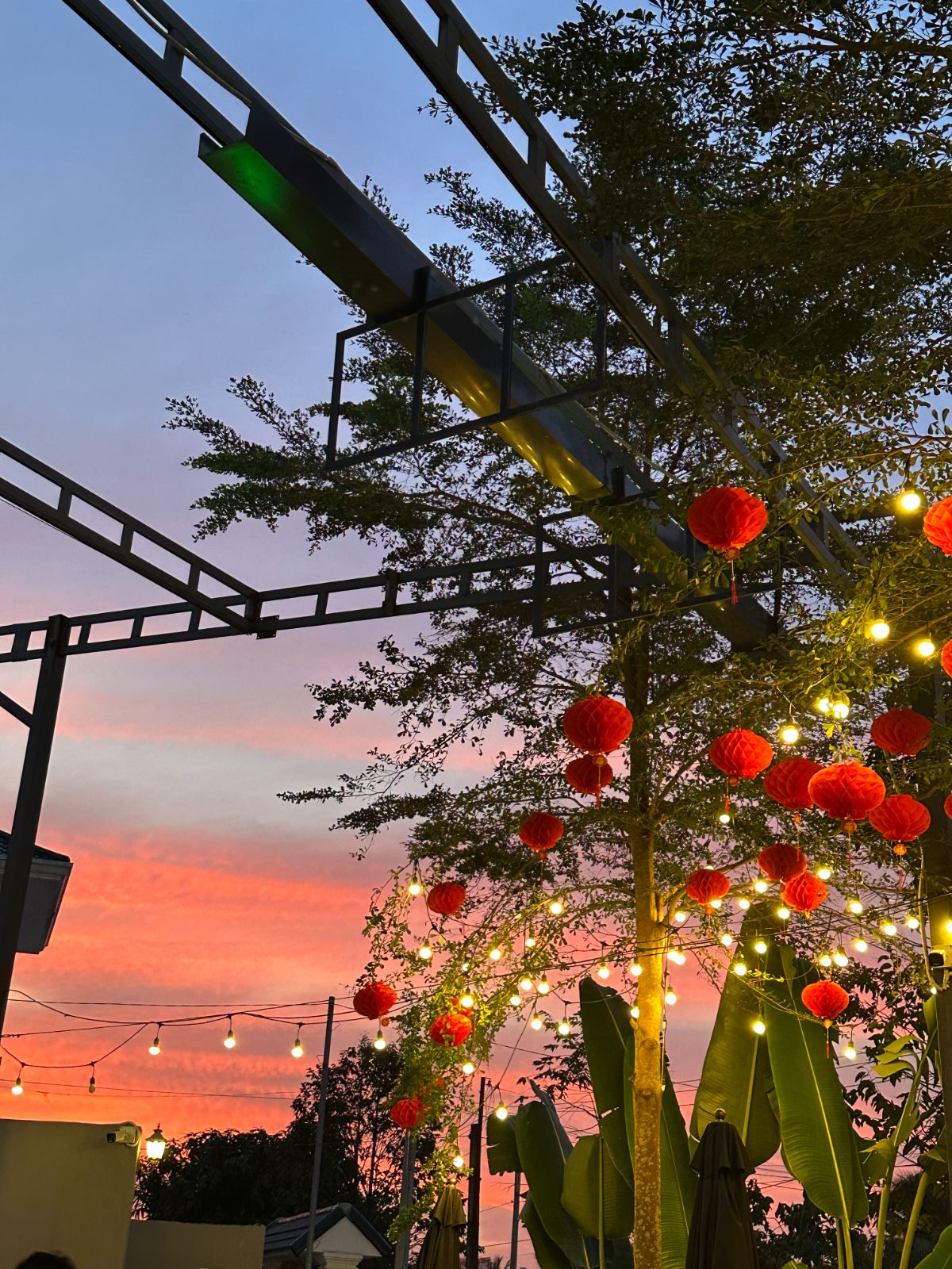 Vùng Tàu 2025 — ảnh 7
