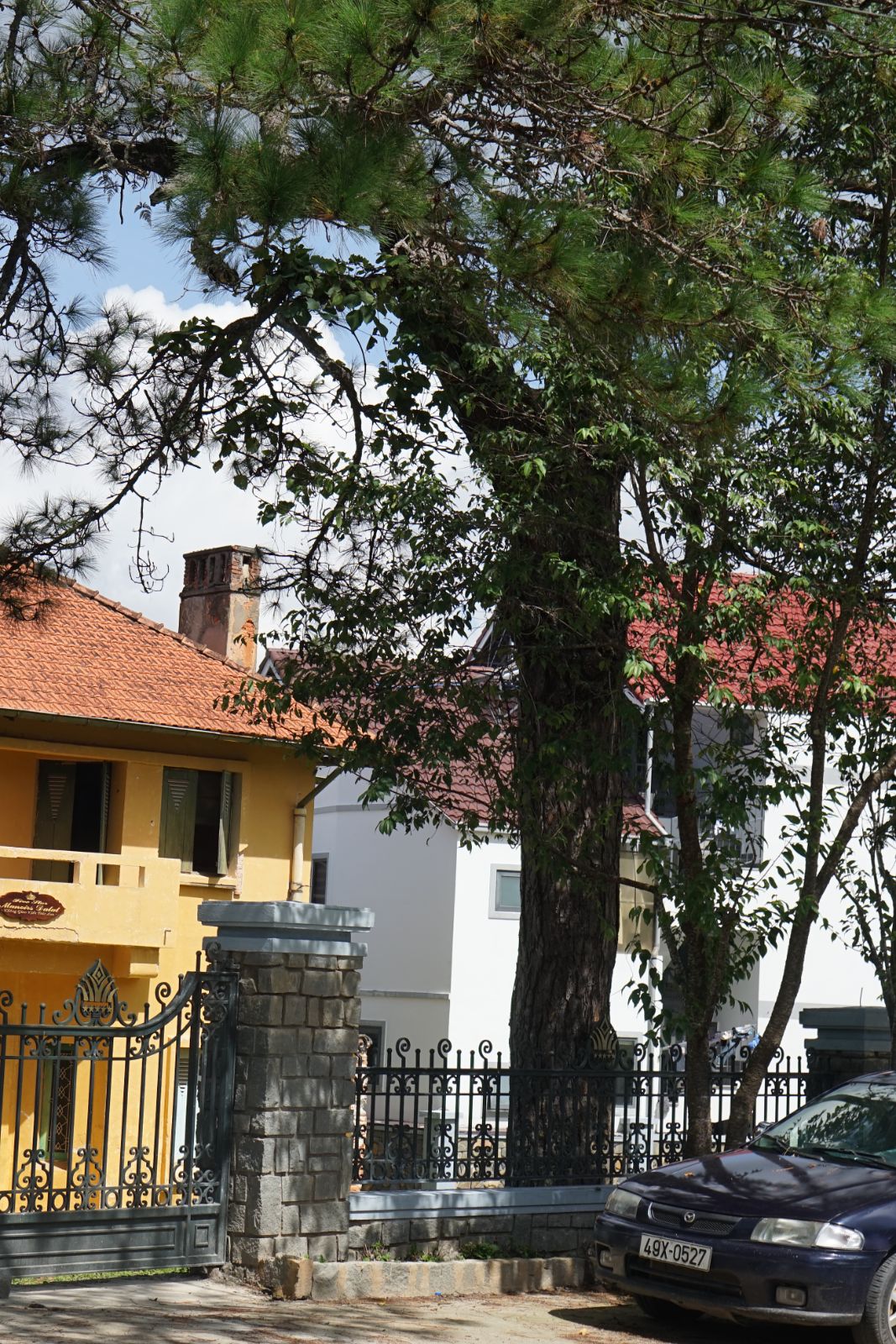 Đà Lạt 2025 — ảnh 1