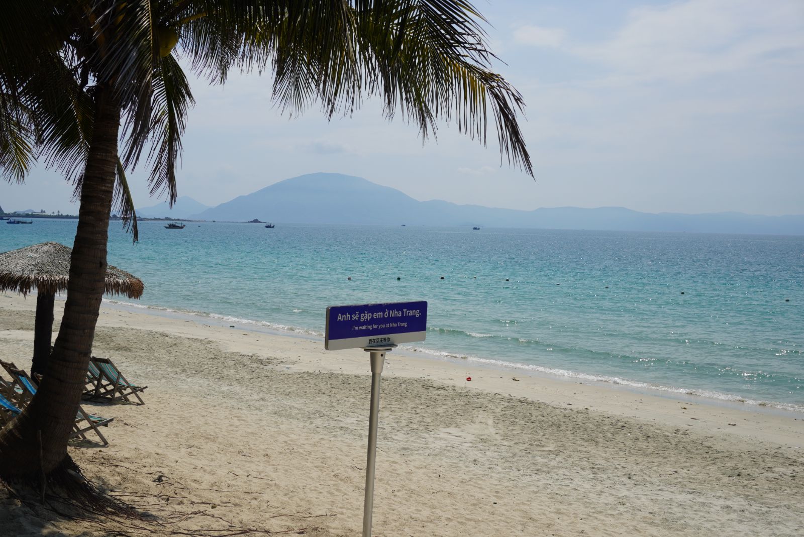 Nha Trang 2026 — ảnh 9