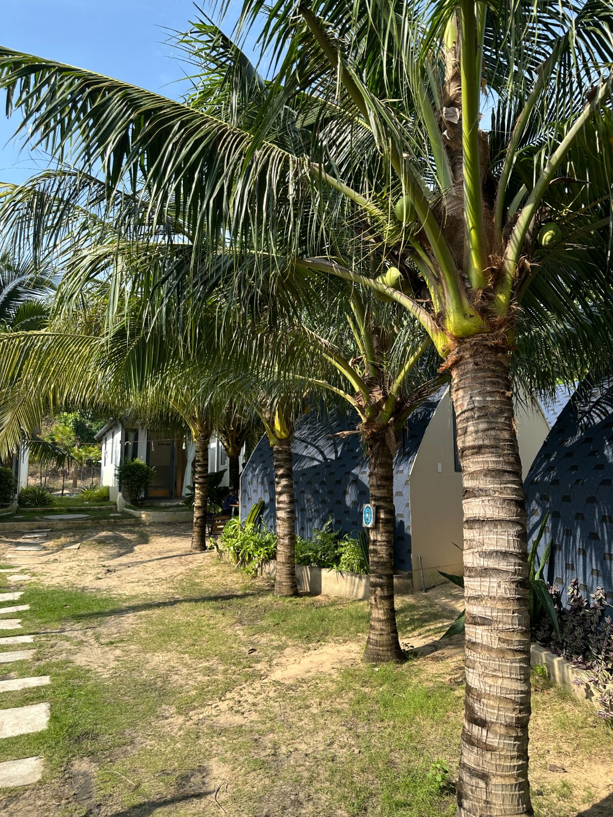 Làng bình yên — ảnh 5